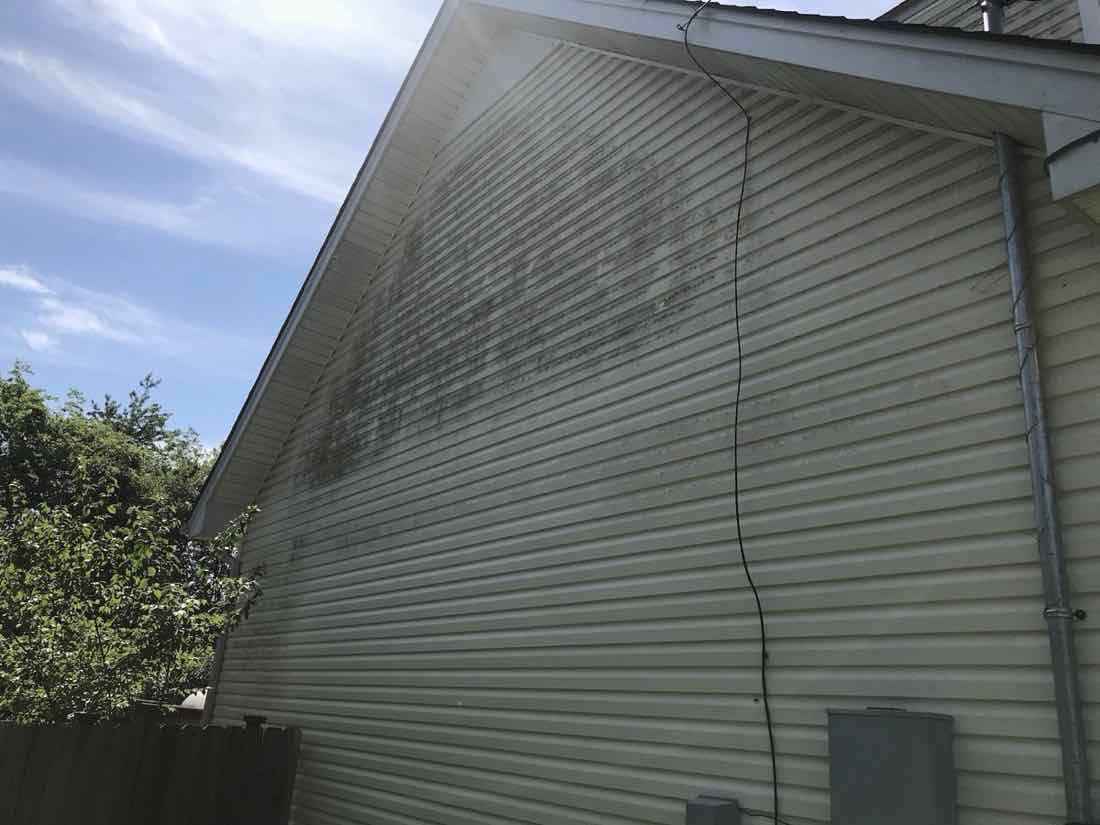 Vinyl siding covered in green mildew before house washing